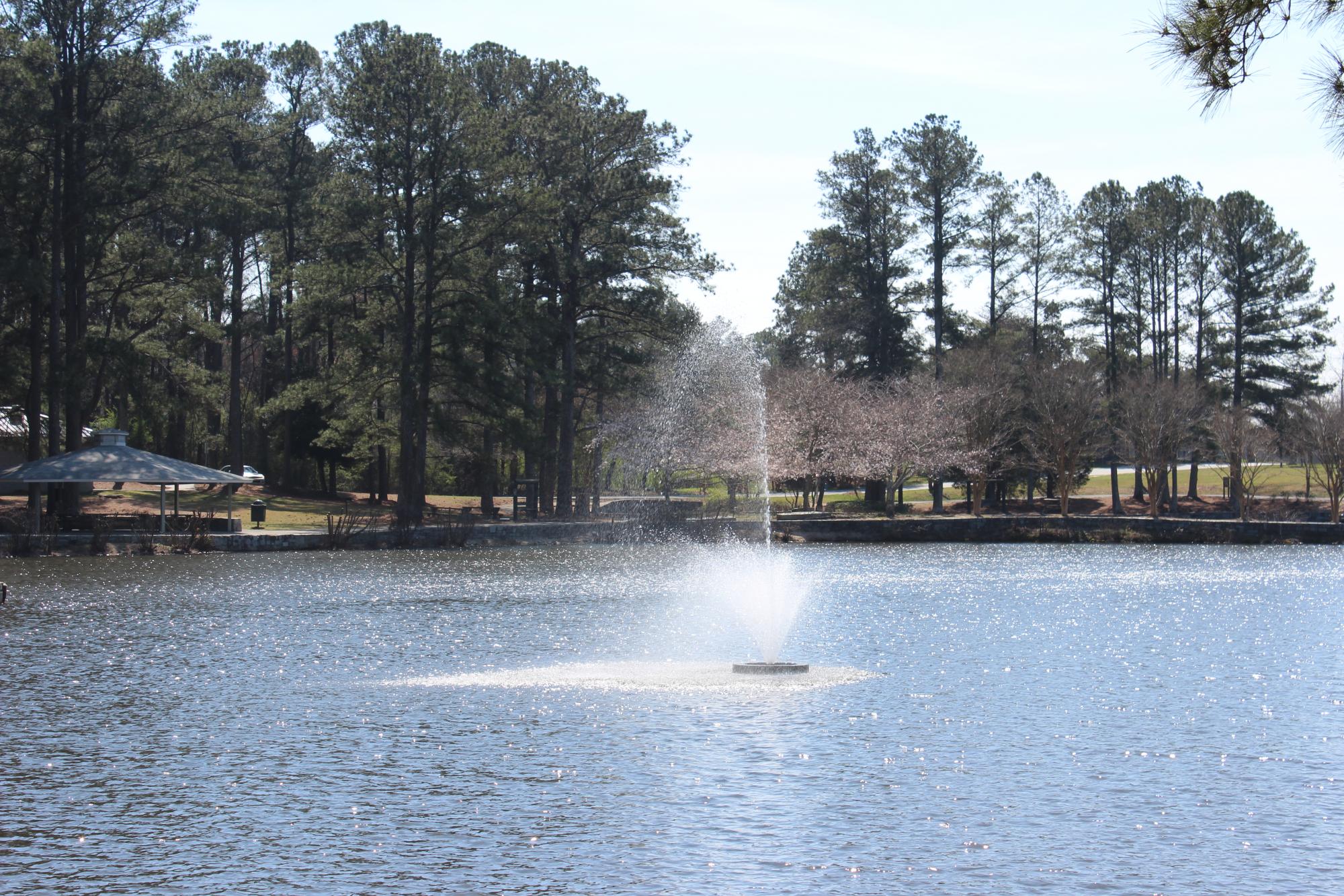 Pate Lake Fountain